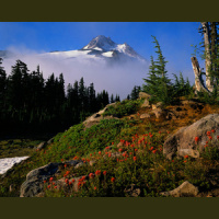 Psalm 19 part 1: The Heavens Declare the Glory of God - Audio