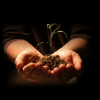 New Creation Ministries International