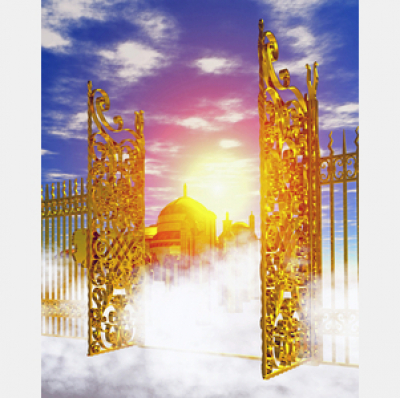 New Creation Ministries International