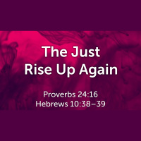 The Just Rise Up Again