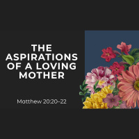 The Aspirations of a Loving Mother (Audio Only)