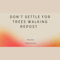 Dont Settle for Trees Walking Repost (Audio Only)