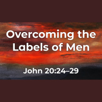 Overcoming the Labels of Men  (Audio Only)