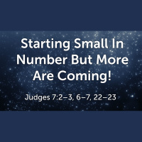 Starting Small In Number But More Are Coming! (Audio Only)