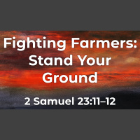 Fighting Farmers: Stand Your Ground