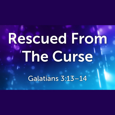 Morton Church Of God