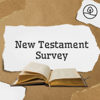 NT Survey: Romans, Part Two