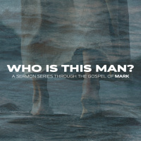 Who is this Man?, Part 46 :: The End is Near // Wayne Meadows