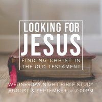 Looking for Christ, Part 1 :: Why Christ Should Be Our Focus When Looking in the Old Testament // Wayne Meadows