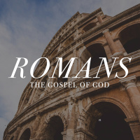 Wayne Meadows - The Promise (Romans 8:28)