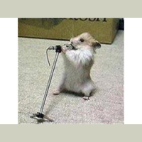 Crack, Lies and Videotape