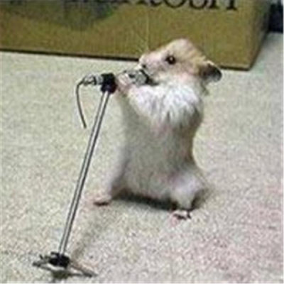 Harm Reduction Radio - Hams