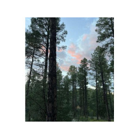 Your debt has been paid in full by the grace of the Lord.