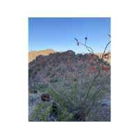 Christianity, if false, is of no importance, and if true, of infinite importance.