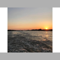 By perseverance the snail reached the ark.