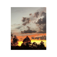 Patience is better than pride.