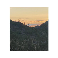 Let all that I am wait quietly before God, for my hope is in him.