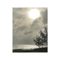 The truth about ourselves is revealed by our actions.