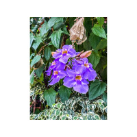 Therefore encourage one another and build each other up.