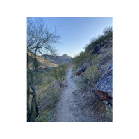 The long road, sometimes is the shortest way to the end of a journey.