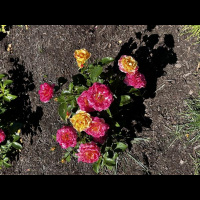 Life is the sowing for a harvest not seen.