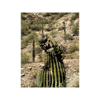 You and I are not obscure in the eyes of God. We are created in his image.