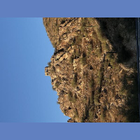 Giving is true having.