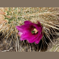 Waiting for tomorrow is a waste of today.