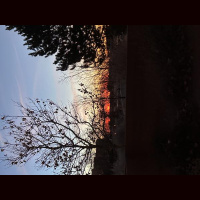 Pray for the peace of Jerusalem: “May those who love you be secure.