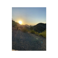 Blessed are those whose way is blameless.