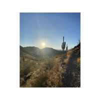 Let us not love with words or speech but with actions and in truth.