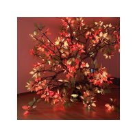 Peacemakers who sow in peace reap a harvest of righteousness.