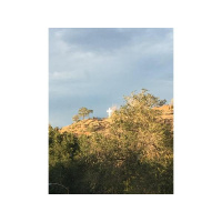 No stream can rise higher than its source.