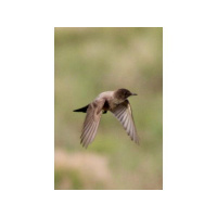 God, thank you for creation that I see all around me!