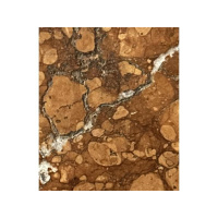 Be a friend to truth.