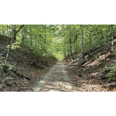 Ihs Together Eca International