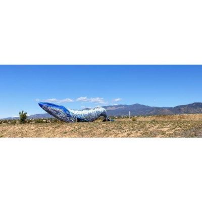 Ihs Together Eca International