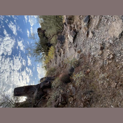 Ihs Together Eca International