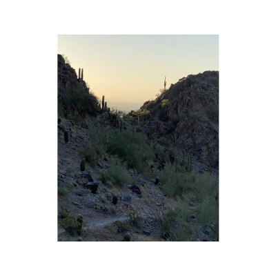 Ihs Together Eca International