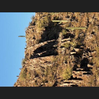 Ihs Together Eca International