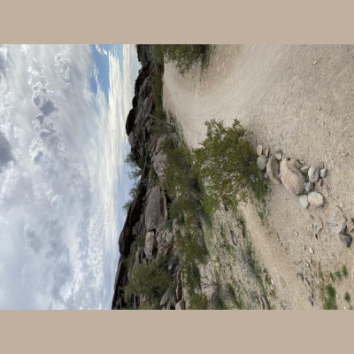 Ihs Together Eca International