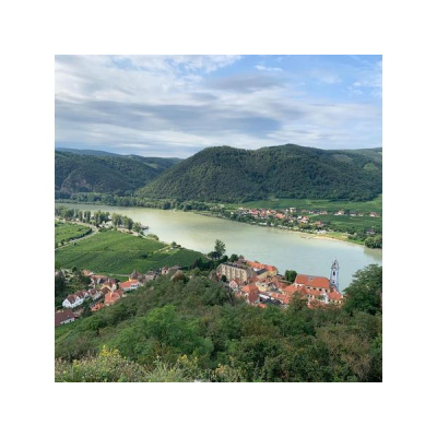 Ihs Together Eca International