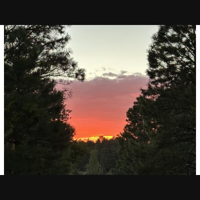 Ihs Together Eca International