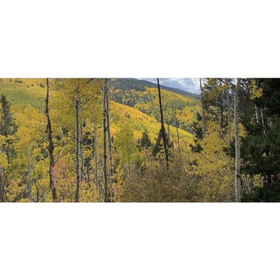 Ihs Together Eca International