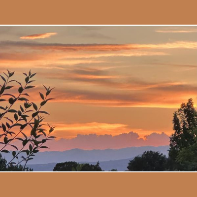 Ihs Together Eca International