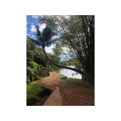 Ihs Together Eca International