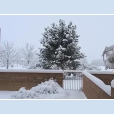 Ihs Together Eca International