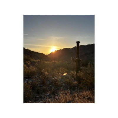 Ihs Together Eca International