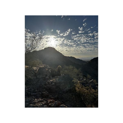 Ihs Together Eca International