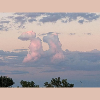 Ihs Together Eca International